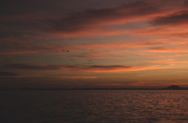 Fototapeta premium sunset over sea