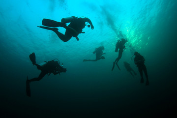 Fototapeta na wymiar Scuba diving 