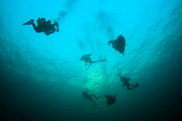 Scuba diving 