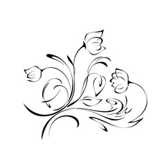 three flowers on the stems with leaves in full growth in black lines on a white background