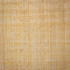 Egyptian papyrus paper