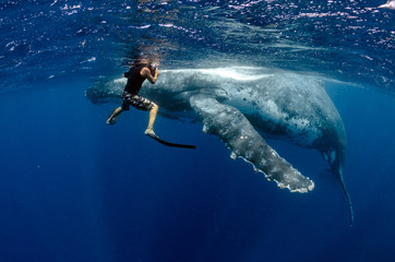 photographer and whale