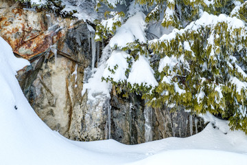 icicles dripping down the edge of rocks behind pine trees covered in snow