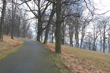 Hukvaldy obora autumn