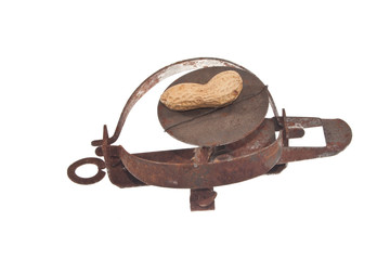 trap isolated on white background