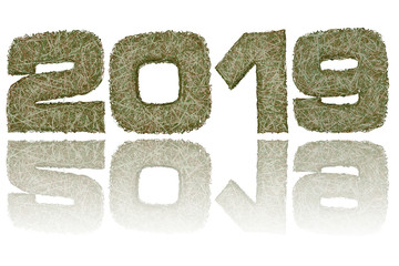 2019 digits composed of military camouflage stripes on glossy white