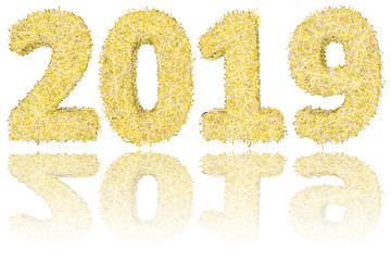 2019 digits composed of golden and silver stripes on glossy white