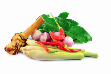 Set of Spices Thailand ingredient important for spicy food
