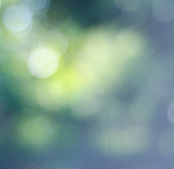 Obraz premium abstract nature green bokeh soft light background.