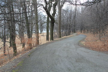 Hukvaldy obora autumn