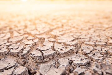 Global warming ground cracked in with hot sunlight.