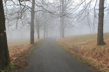 Hukvaldy obora autumn