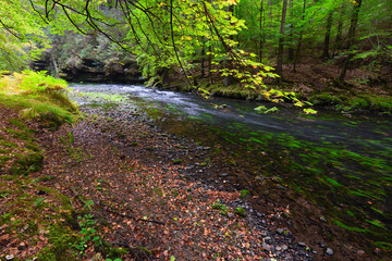 Mountain stream with clear water between moss covered boulders
