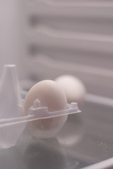 Fototapeta na wymiar the egg is in the fridge