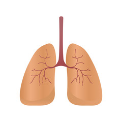 Lungs icon, vector style. Internal organs of the human design element, logo. Anatomy, medicine concept. Healthcare. Isolated on white background. Vector illustration