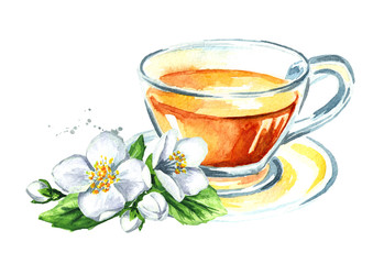 Jasmine tea and jasmine flowers. Watercolor hand drawn illustration, isolated on white background