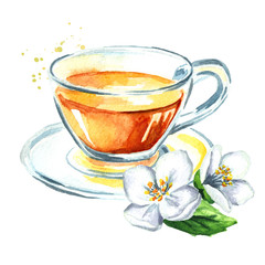 Jasmine tea and jasmine flowers. Watercolor hand drawn illustration, isolated on white background