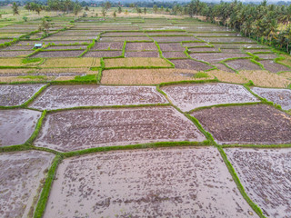 Oblique photograph view of wet muddy rice terraces