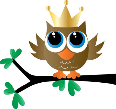 a sweet little brown owl with a golden crown