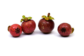 Fresh mangosteen 