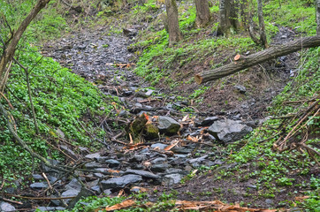 Detail of a hiking path