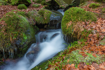Black Forest in Germany with some smaller waterfall cascades