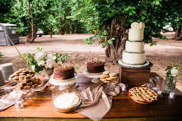 wedding desserts on table in forest