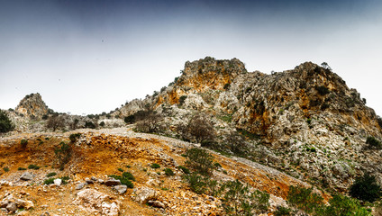 Panoramic view of landscape