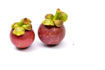Fresh mangosteen 