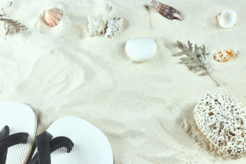 white Sand and shells. the background of the sea beach. vertical view, close-up. sand background with shells of crustaceans. copy space. place for text.