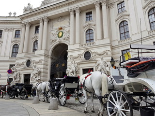 Fiaker: Kutsche und Pferde in Wien