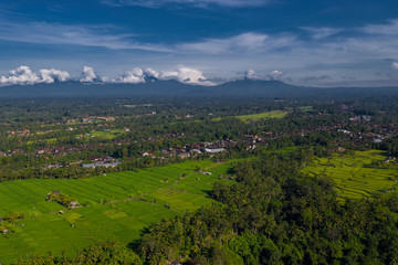 Fototapeta na wymiar Arial view of balinese countryside with rice terraces and trees in Ubud, Indonesia. 