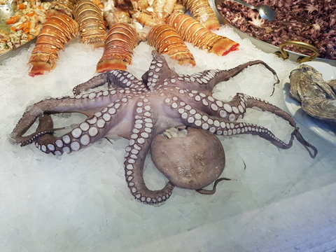 Delikatessen: Frische Meeresfr&uuml;chte am Fischmarkt