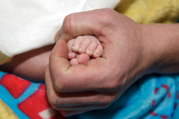 Hand baby in the palm of his father. Family values in the details of the bodies.