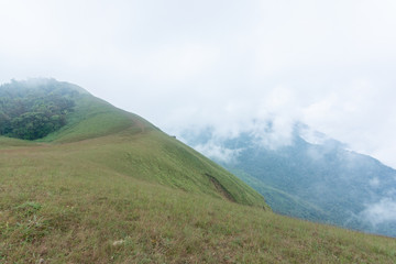 Fototapeta premium green grass field on Top of mountain in Mon jong doi, Chiang Mai, Thailand