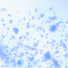 Dark blue flower petals falling down. Nice romanti