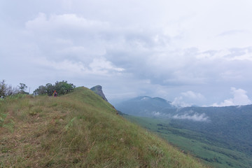 green grass field on Top of mountain in Mon jong doi, Chiang Mai, Thailand