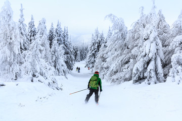 Winter in Szczyrk in Beskidy Mountains - New ski slope from Skrzyczne to Zbojnicka Kopa opened december 2018  - 240838995