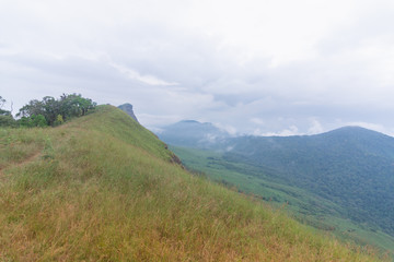 green grass field on Top of mountain in Mon jong doi, Chiang Mai, Thailand green grass field on Top of mountain in Mon jong doi, Chiang Mai, Thailand