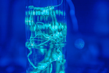 Magic blue and cold green light. Green garland in the bottle, abstract.