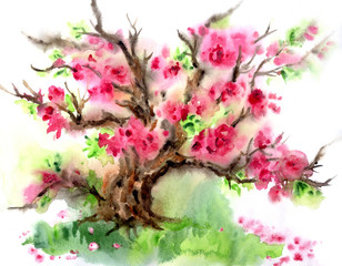 Sakura blooms, tree in bloom, spring landscape, watercolor painting.