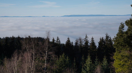 Blick vom Hünersedelturm in Freiamt auf die im Nebel liegende Rheinebene