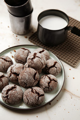 Tasty chocolate cookies with milk on light table