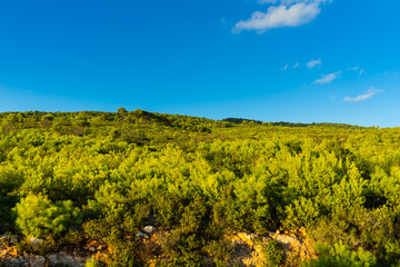 Fototapeta na wymiar Greece, Zakynthos, Green untouched nature landscape