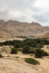 Fototapeta na wymiar Wadi, Dhofar Governorate, Oman