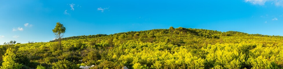 Greece, Zakynthos, XXL panorama of green tree covered hill landscape and blue sky