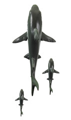 Rubber Sharks