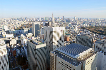 Fototapeta premium 東京の街並み