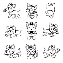 Fototapeta premium Cartoon character yorkshire terrier dog poses set for design.