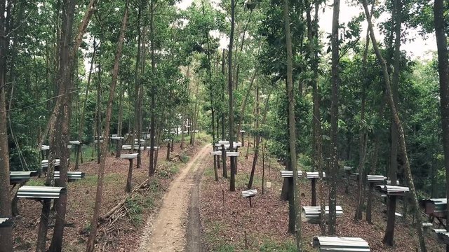 wooden bee farm at malaysia
